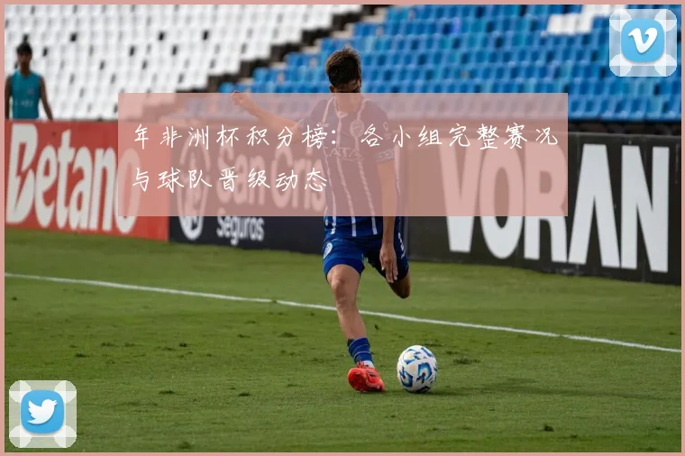 年非洲杯积分榜:各小组完整赛况与球队晋级动态