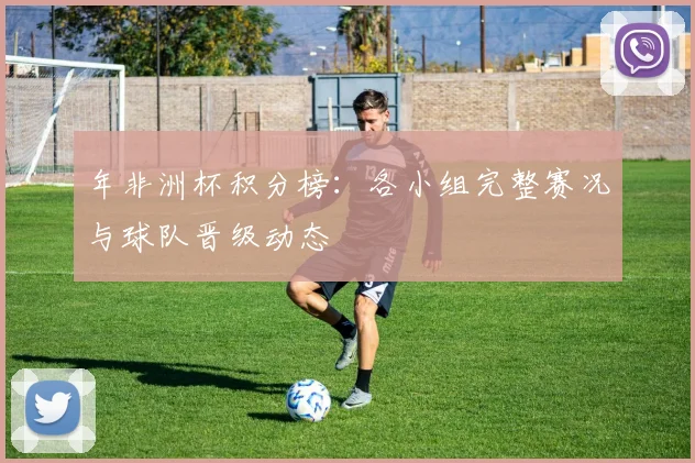 年非洲杯积分榜:各小组完整赛况与球队晋级动态