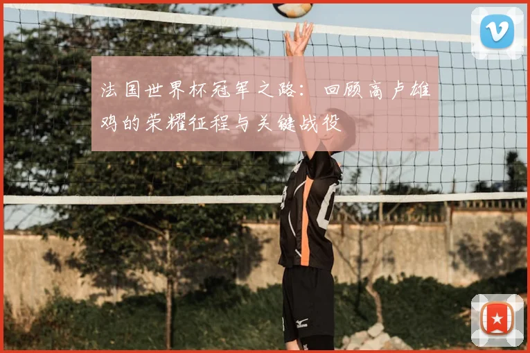 法国世界杯冠军之路：回顾高卢雄鸡的荣耀征程与关键战役